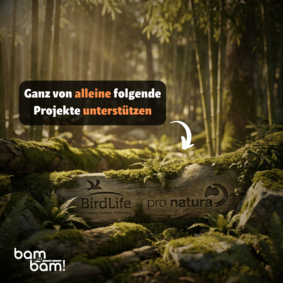 Cannucce di bambù - Edizione estiva!