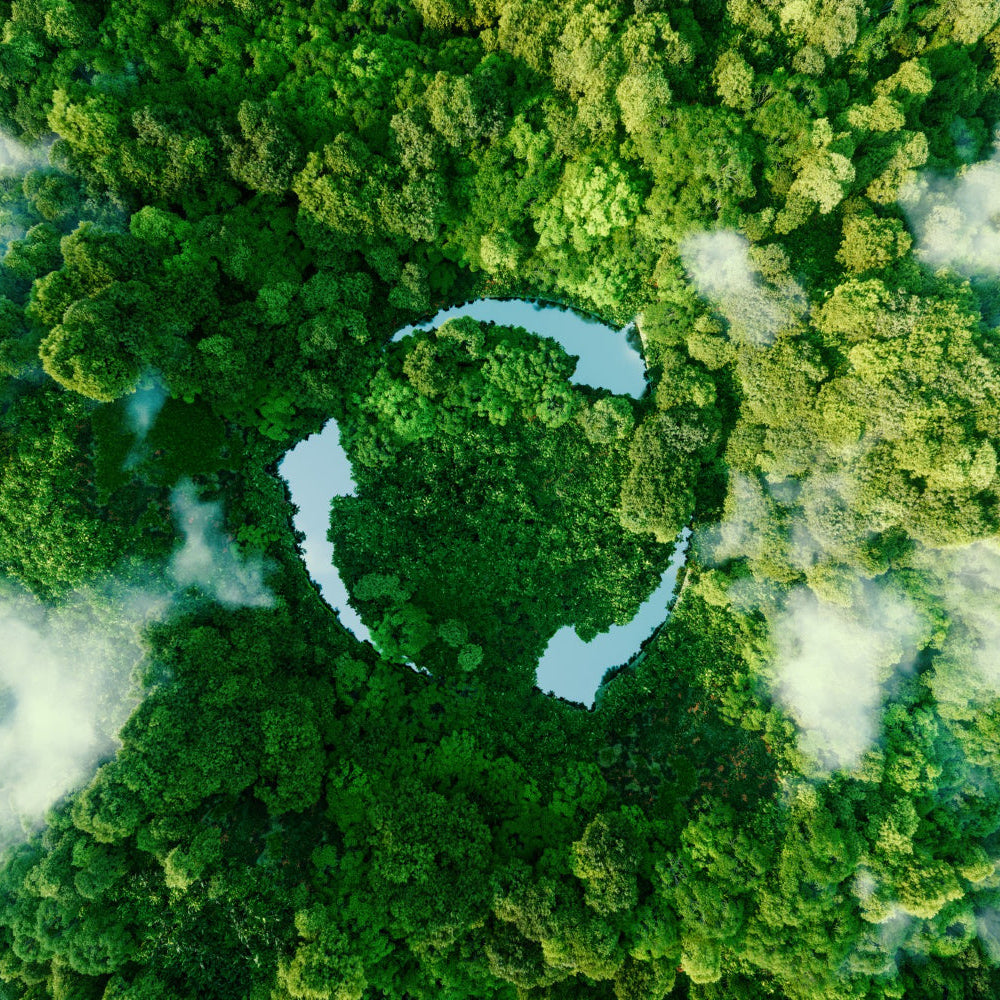 Greenwashing – Warum Marketing nicht über dem Umweltschutz stehen sollte!