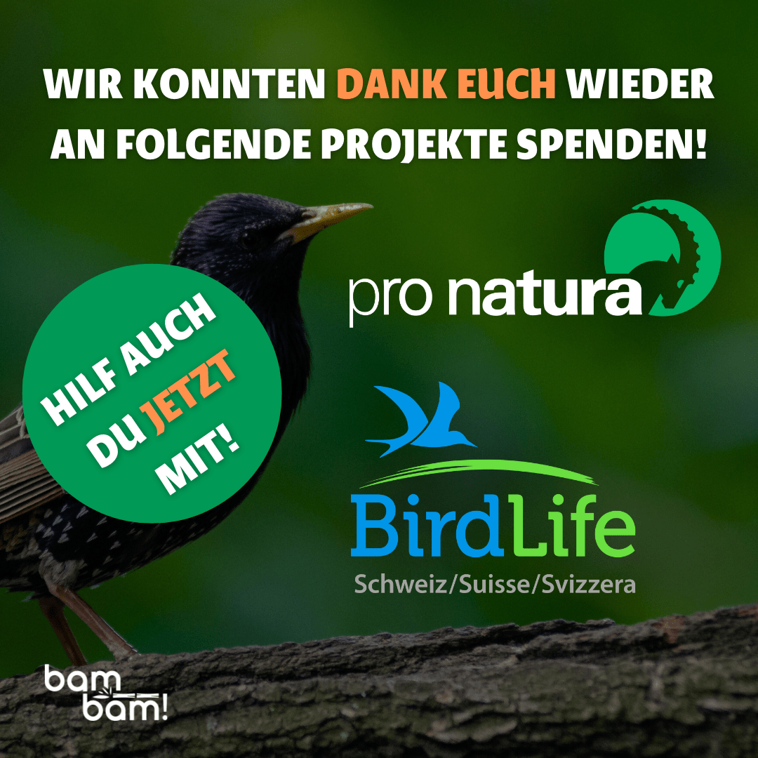 Nachhaltige Wattestäbchen - 200 Stück